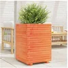 Image de Jardinière cire marron 50x50x72 cm bois de pin massif