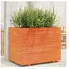 Image de Jardinière cire marron 90x60x72 cm bois de pin massif