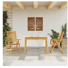 Image de 3-delige Tuinset massief acaciahout3295254