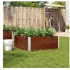 Image de Plantenbak 100x100 cm massief grenenhout bruin3295402
