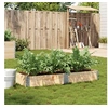 Image de Jardinière 150x50 cm bois de pin massif