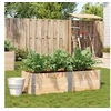 Image de Plantenbak 150x50 cm massief grenenhout3295407