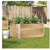 Image de Plantenbak 120x80 cm massief grenenhout3295423
