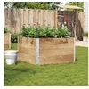 Image de Plantenbak 100x100 cm massief grenenhout3295431