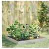 Image de Lit surélevé de jardin 100x100x18,5 cm acier inoxydable 851014