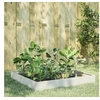 Image de Lit surélevé de jardin blanc 100x100x26 cm acier 851018