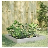 Image de Lit surélevé de jardin 100x100x26 cm acier inoxydable 851021