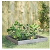 Image de Lit surélevé de jardin 100x100x26 cm acier inoxydable 851022