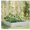 Image de Lit surélevé de jardin 100x100x33,5 cm acier inoxydable 851028