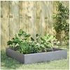 Image de Lit surélevé de jardin 100x100x33,5 cm acier inoxydable 851029