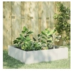 Image de Lit surélevé de jardin blanc 100x100x25 cm acier 851032