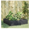 Image de Lit surélevé de jardin anthracite 100x100x25 cm acier 851033