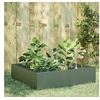 Image de Lit surélevé de jardin vert olive 100x100x25 cm acier 851034