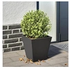 Image de Jardinière noir 30x30x30 cm acier, jardinière d'extérieur, boîte à fleurs, boîte de jardin, jardinière de patio, 851038