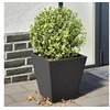 Image de Jardinières 2 pcs noir 30x30x30 cm acier, jardinière d'extérieur, boîte à fleurs, boîte de jardin, jardinière de 851039