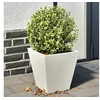 Image de Jardinières 2 pcs blanc 30x30x30 cm acier, jardinière d'extérieur, boîte à fleurs, boîte de jardin, jardinière de 851041