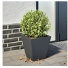 Image de Jardinière anthracite 30x30x30 cm acier