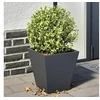 Image de Jardinières 2 pcs anthracite 30x30x30 cm acier, jardinière d'extérieur, boîte à fleurs, boîte de jardin, jardinière 851043