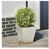 Image de Jardinière 30x30x30 cm acier inoxydable, jardinière d'extérieur, boîte à fleurs, boîte de jardin, jardinière de 851046