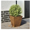 Image de Jardinière 30x30x30 cm acier corten, jardinière d'extérieur, boîte à fleurs, boîte de jardin, jardinière de patio, 851050