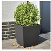 Image de Jardinières 2 pcs noir 40x40x40 cm acier, jardinière d'extérieur, boîte à fleurs, boîte de jardin, jardinière de 851053