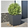 Image de Jardinière anthracite 40x40x40 cm acier, jardinière d'extérieur, boîte à fleurs, boîte de jardin, jardinière de 851056