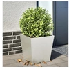 Image de Jardinière 40x40x40 cm acier inoxydable, jardinière d'extérieur, boîte à fleurs, boîte de jardin, jardinière de 851060