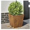 Image de Jardinières 2 pcs 40x40x40 cm acier corten, jardinière d'extérieur, boîte à fleurs, boîte de jardin, jardinière de 851065