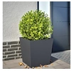 Image de Jardinière anthracite 50x50x50 cm acier, jardinière d'extérieur, boîte à fleurs, boîte de jardin, jardinière de 851070