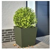 Image de Jardinière vert olive 50x50x50 cm acier, jardinière d'extérieur, boîte à fleurs, boîte de jardin, jardinière de 851072