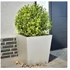 Image de Jardinières 2 pcs 50x50x50 cm acier inoxydable, jardinière d'extérieur, boîte à fleurs, boîte de jardin, jardinière 851075