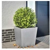 Image de Jardinière 50x50x50 cm acier galvanisé, jardinière d'extérieur, boîte à fleurs, boîte de jardin, jardinière de patio, 851076