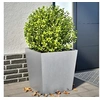 Image de Jardinières 2 pcs 50x50x50 cm acier galvanisé
