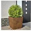 Image de Jardinière 50x50x50 cm acier corten, jardinière d'extérieur, boîte à fleurs, boîte de jardin, jardinière de patio, 851078