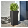 Image de Jardinière noir 35x35x75 cm acier