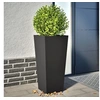 Image de Jardinières 2 pcs noir 35x35x75 cm acier