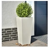 Image de Jardinières 2 pcs blanc 35x35x75 cm acier