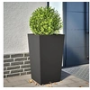 Image de Jardinière noir 45x45x75 cm acier, jardinière d'extérieur, boîte à fleurs, boîte de jardin, jardinière de patio, 851094