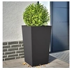 Image de Jardinières 2 pcs noir 45x45x75 cm acier, jardinière d'extérieur, boîte à fleurs, boîte de jardin, jardinière de 851095