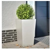 Image de Jardinière 45x45x75 cm acier inoxydable, jardinière d'extérieur, boîte à fleurs, boîte de jardin, jardinière de 851102