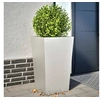 Image de Jardinières 2 pcs 45x45x75 cm acier inoxydable, jardinière d'extérieur, boîte à fleurs, boîte de jardin, jardinière 851103