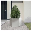 Image de Jardinière hexagone 69x60x45 cm acier inoxydable