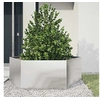 Image de Jardinière hexagone 138x120x45 cm acier inoxydable