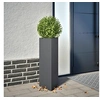 Image de Jardinière anthracite triangulaire 30x26x75 cm acier 851147