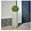 Image de Jardinière triangulaire 30x26x75 cm acier inoxydable 851151