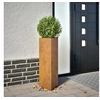 Image de Jardinières 2 pcs triangulaire 30x26x75 cm acier corten 851156