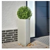 Image de Jardinière triangulaire 40x34,5x70 cm acier inoxydable 851165