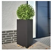 Image de Jardinières 2 pcs noir triangulaire 50x43x75 cm acier