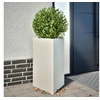 Image de Jardinières 2 pcs blanc triangulaire 50x43x75 cm acier