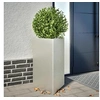 Image de Jardinière triangulaire 50x43x75 cm acier inoxydable, jardinière d'extérieur, boîte à fleurs, boîte de jardin, 851179
